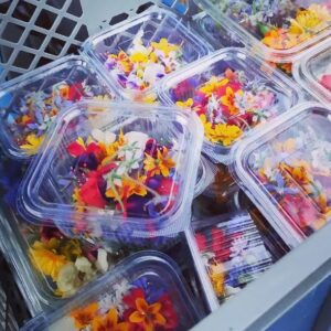 Fiori Eduli mix 500ml