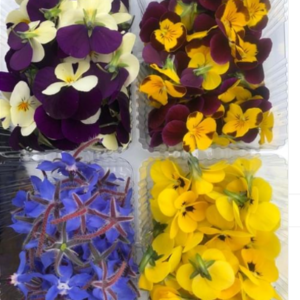 Fiori Eduli mix 1500 ml